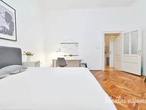 Pronájem bytu 2+1, Brno - Brno-město, Veselá, 53 m2