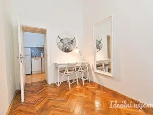 Pronájem bytu 2+1, Brno - Brno-město, Veselá, 53 m2