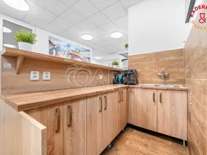 Prodej obchodního prostoru, Brno, Lidická, 326 m2