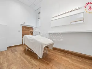 Prodej obchodního prostoru, Brno, Lidická, 326 m2