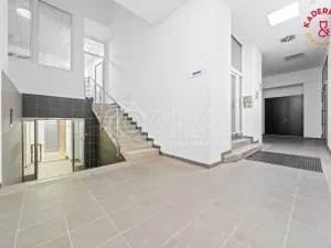 Prodej obchodního prostoru, Brno, Lidická, 326 m2