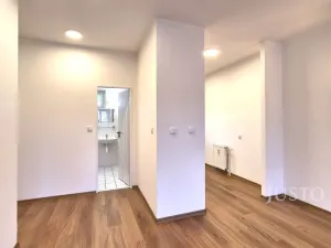 Pronájem bytu 2+kk, Písek - Pražské Předměstí, V Portyči, 65 m2