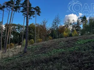 Prodej lesa, Štěchovice, 8586 m2