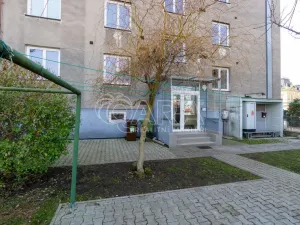 Prodej bytu 3+1, Brandýs nad Labem-Stará Boleslav - Brandýs nad Labem, Komenského nám., 99 m2