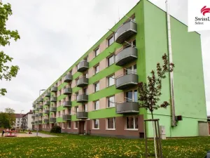Pronájem bytu 3+1, Polná, Palackého, 75 m2