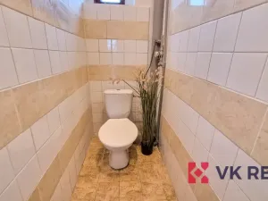 Prodej bytu 3+kk, Heřmanova Huť - Vlkýš, Nádražní, 85 m2