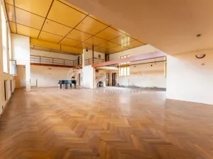 Pronájem obchodního prostoru, Štěpánovice, 440 m2