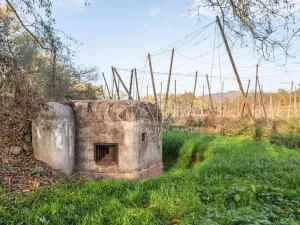 Prodej chaty, Kolešov, 21 m2