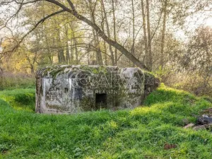 Prodej chaty, Kolešov, 21 m2
