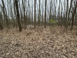 Pronájem komerčního pozemku, Praha - Háje, 2000 m2