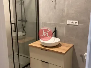 Pronájem bytu 2+kk, Ostrava, Opavská, 50 m2