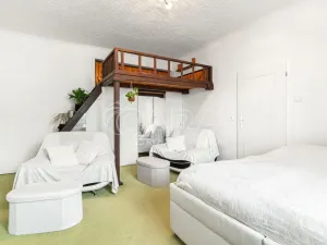 Prodej bytu 1+1, Praha - Veleslavín, Evropská, 45 m2