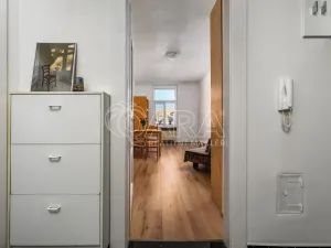 Prodej bytu 2+kk, Praha - Vinohrady, Lužická, 49 m2