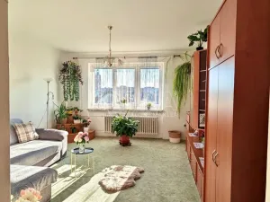 Prodej bytu 2+1, Přeštice, Červenkova, 64 m2