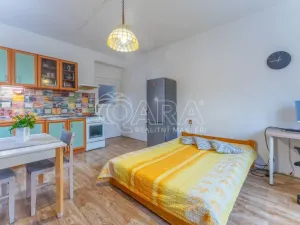 Prodej bytu 2+kk, Praha - Žižkov, Biskupcova, 47 m2