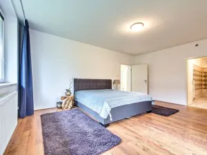 Pronájem rodinného domu, Dolní Břežany, V Úvozu, 380 m2