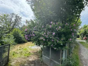 Prodej rodinného domu, Kamenný Přívoz - Kamenný Újezdec, 55 m2