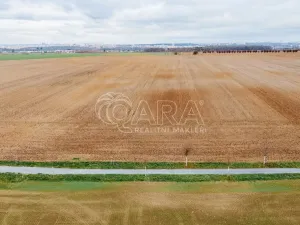 Prodej pole, Dolní Břežany, 8511 m2