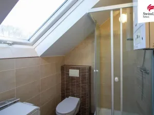 Pronájem bytu 1+kk, Puklice, 43 m2