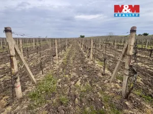 Prodej pole, Velké Bílovice, 3600 m2