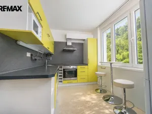 Prodej bytu 3+1, Březová, Hamerská, 63 m2