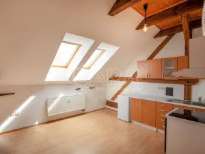 Prodej bytu 2+kk, České Budějovice - České Budějovice 3, Puklicova, 41 m2