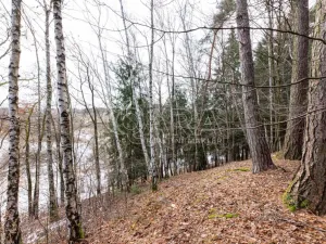 Prodej lesa, Velké Popovice, 19731 m2