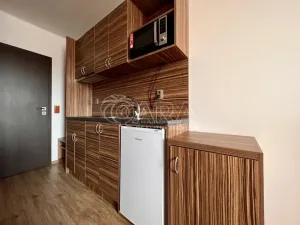 Pronájem bytu 1+kk, Brno, Křivánkovo náměstí, 21 m2
