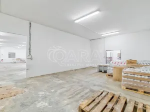 Prodej skladu, Bělotín, 1029 m2