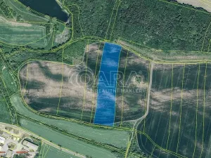 Prodej pole, Mašťov, 29043 m2