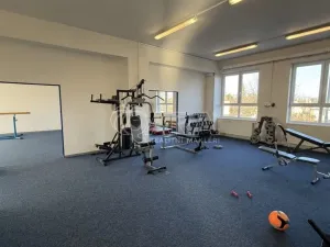 Pronájem skladu, Frenštát pod Radhoštěm, Martinská čtvrť, 482 m2
