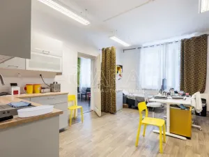 Prodej rodinného domu, Slaný, Vepřkova, 440 m2