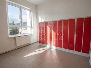 Pronájem skladu, Frenštát pod Radhoštěm, Martinská čtvrť, 484 m2
