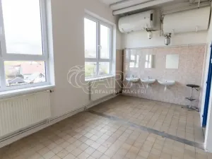 Pronájem výrobních prostor, Frenštát pod Radhoštěm, Martinská čtvrť, 966 m2