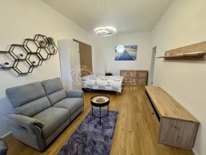 Pronájem bytu 1+kk, Praha - Žižkov, Malešická, 42 m2