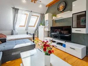 Prodej bytu 2+1, Plzeň - Doubravka, Skalní, 55 m2