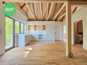 Prodej bytu 2+kk, Jindřichův Hradec - Jindřichův Hradec II, El. Krásnohorské, 20 m2