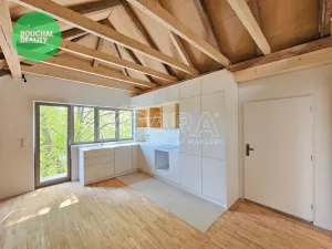 Prodej bytu 2+kk, Jindřichův Hradec - Jindřichův Hradec II, El. Krásnohorské, 20 m2