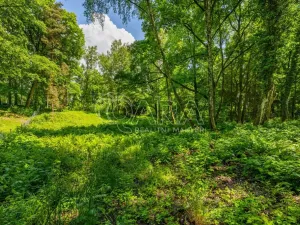 Prodej pozemku pro bydlení, Hrubá Skála, 5519 m2