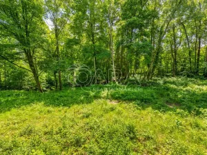 Prodej pozemku pro bydlení, Hrubá Skála, 5519 m2