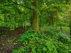 Prodej pozemku pro bydlení, Hrubá Skála, 5519 m2