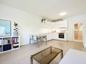 Pronájem bytu 2+kk, Praha - Podolí, Sinkulova, 47 m2