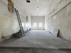 Pronájem výrobních prostor, Nový Jičín, Riegrova, 2293 m2