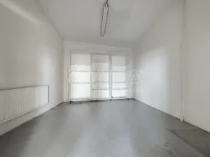 Pronájem výrobních prostor, Nový Jičín, Riegrova, 2293 m2