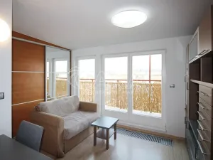 Pronájem bytu 1+kk, Praha - Holešovice, U průhonu, 31 m2