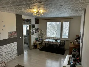 Prodej bytu 2+1, Vamberk, Struha, 69 m2