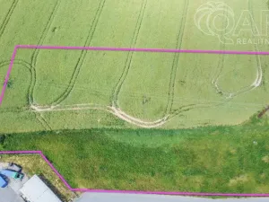 Prodej komerčního pozemku, Dolní Kralovice, 10347 m2