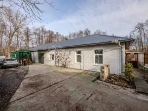Pronájem obchodního prostoru, Vestec, Vestecká, 252 m2