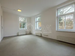 Pronájem obchodního prostoru, Vestec, Vestecká, 252 m2