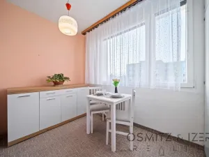 Prodej bytu 3+1, Litoměřice - Předměstí, Družstevní, 70 m2